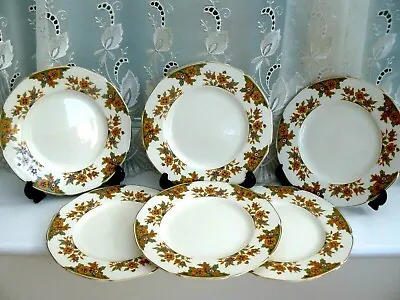 Buy 6   X    VINTAGE GRINDLEY TUNSTALL**  THE BELMONT **  LARGE SIDE PLATES • 10£
