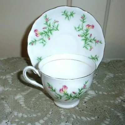 Buy Colclough Sweet Pea Bone China Tea Cup And Saucer Pattern 6798  • 9.64£