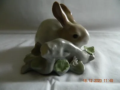 Buy Very Cute Lladro Bunny Rabbit • 5£