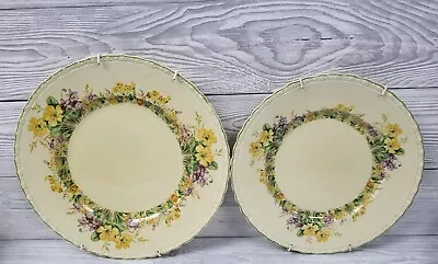 Buy Myott Staffordshire England Queenston China Floral Antique Plates X2. PS • 18£