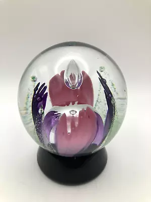 Buy Caithness Glass Collector's Paperweight 'Millennium Vision' #1470 • 5.99£
