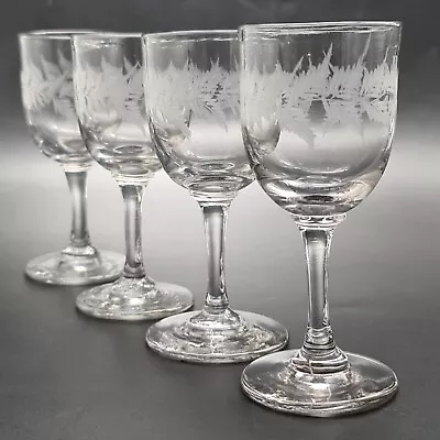 Buy Antique Victorian Sherry Glasses Etched Ferns Clear Set Of Four Drinking C1890 • 24.95£