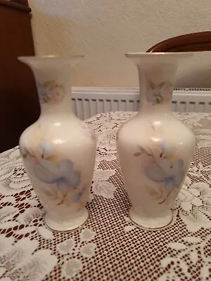 Buy Royal Staffordshire Bone China Vases • 6£
