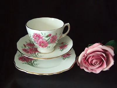 Buy Royal Vale Bone China Trio Tea Cup Saucer Side Plate Carnations/Pinks/Dianthus • 5.49£