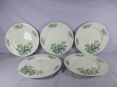 Buy Wade Side Plates Vintage 1940s Staffordshire Pottery Meadow Pattern 22.5cm • 19.95£