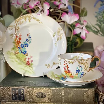 Buy AYNSLEY Tea Cup & Saucer & Plate Trio #B1652 Hand Painted Flowers - Excellent • 39.99£