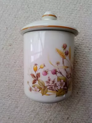 Buy M&S St Michael Vintage Harvest 2193/6414 Ceramic Large Storage Jar & Lid  • 10£