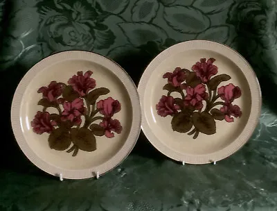 Buy Poole Pottery Broadstone  A Pair Of “CYCLAMEN” 8.5 Inch Plates • 14£
