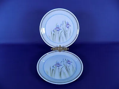 Buy Royal Doulton Lambethware Blue Iris Salad Plates X 2 • 14£