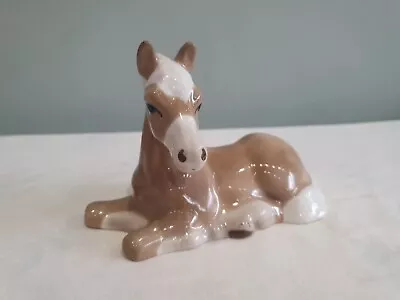 Buy Szeiler Studio Ceramic Palomino Foal Beige &White  • 4.99£