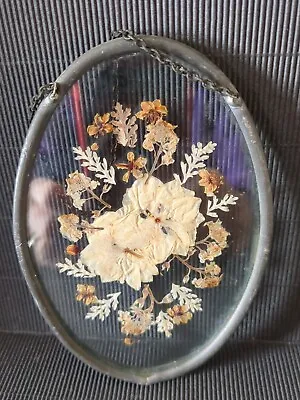 Buy Vintage Pressed Dried Flowers Glass Oval Lead Surround Window Sun Catcher • 7.99£