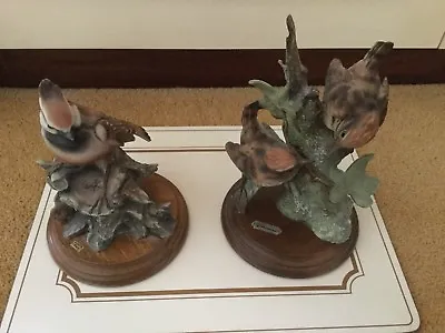 Buy Capodimonte Armani Pair Of Wrens And Goldcrest Birds With Certificates - Rare • 70£