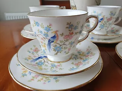 Buy Queen Anne 'enchanted Garden' 17 Piece Tea Set • 39.50£