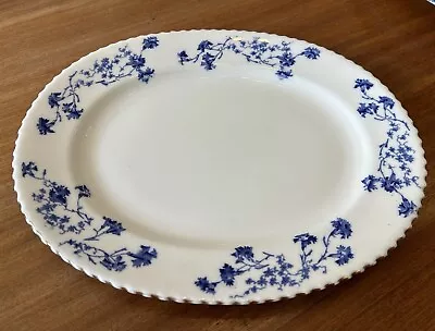 Buy Antique C1906-26 Adderley’s Blue & White China Plate Cornflowers 28cm Long • 4.99£