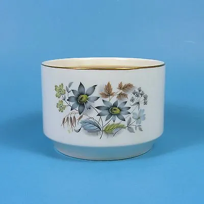 Buy Midwinter MEADOW Open Sugar Bowl Fine Tableware England Blue Flowers Taupe Band • 11.67£