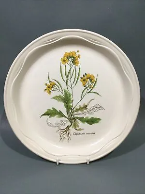 Buy Poole Pottery “ Country Lane “ Dinner Plate • 6.95£