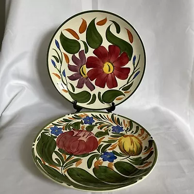 Buy 2x Vintage Wade Pottery Floral 'Capri' Plates 9.5” Diameter UNUSED & VGC • 16.99£