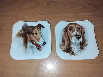 Buy Royal Adderley Collie And Spaniel Dogs England  Bone China 4  Plate Set • 30.46£