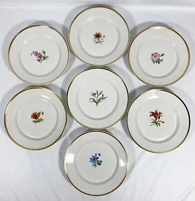 Buy 7 KPM Royal Berlin Porcelain SOUP BOWLS 8  Gold Rim Painted Floral Vtg 1945-1962 • 213.45£