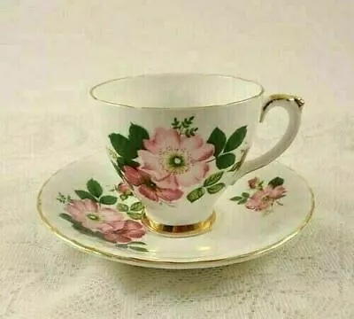 Buy Royal Trent Fine Bone China Tea Cup & Saucer Apple Blossoms White • 9.44£