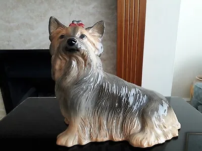 Buy A Large Pottery Kingston  Dog Approx 9 1/2 Inch High & 9 1/2 W Yorkshire Terrier • 14.99£