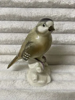 Buy Vintage Dresden  Porcelain Bone China Bird Figurine Sculpture  • 14.99£