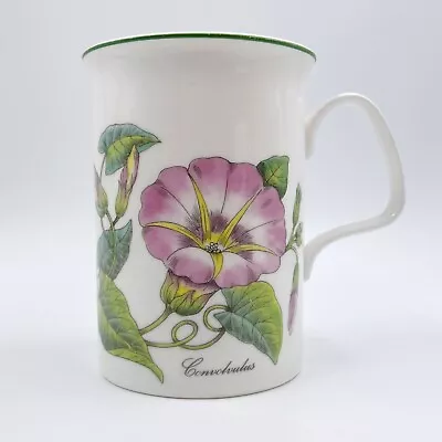 Buy Roy Kirkham Fine Bone China Mug - Botanical Flowers - Convulvulus Bindweed • 9.80£