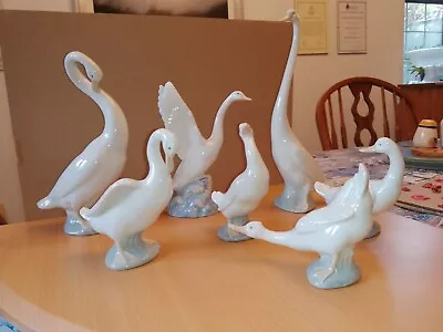Buy Nao Lladro Figurines Swans Geese And Ducks Seven Pieces In Beautiful Condition  • 45£