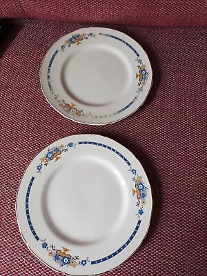 Buy Grindley  Blue And Yellow Flower Plates X 2.  9   • 2.75£