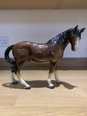 Buy Large Ceramic / Pottery Horse-11”(28cm) Wide, 8.5”(21.5cm) High-Quite New • 14.50£
