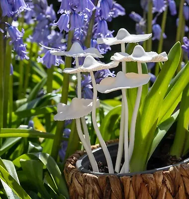 Buy Gardening Ornaments Mushrooms Polymer Clay Statue Pottery Decor Gift Box Outdoor • 19.99£