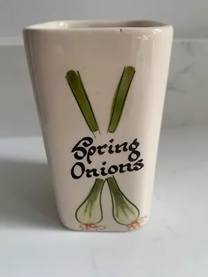 Buy Vintage Spring Onion Pot Toni Raymond • 4£