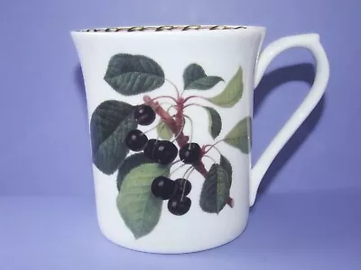 Buy A Queens Fine Bone China Mug...Hookers Fruit • 4.50£