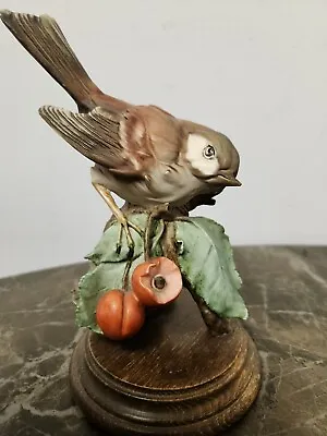 Buy GIUSEPPE ARMANI FIGURINE BIRD Sparrow On A Berry Branch. • 29£