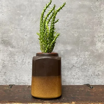 Buy Vintage Small Ceramic Plant Pot Planter Vase By Honiton - Made In Devon  England • 14.99£