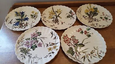 Buy S .Hancock Wild Flowers Floral Scalloped Edge  Vintage Plates • 48£