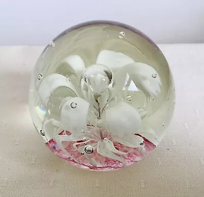 Buy Paperweight Art Glass Single White Flower Controlled Bubbles Pink Base 666 Grams • 7.50£