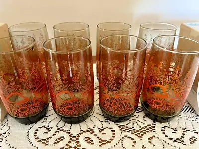 Buy Vintage Anchor Hocking Smokey Glass Orange Mushroom Garden Glasses, Set Of 8 • 144.11£
