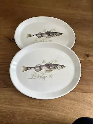 Buy Fish Plates Trout Honiton Pottery 10” Across X2 Devon • 22£