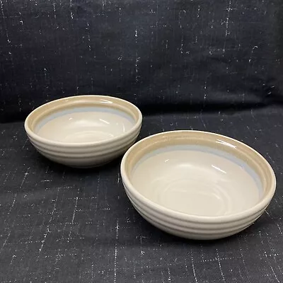 Buy Noritake Stoneware Painted Desert 8603 Cereal Bowls Set Of 2 Discontinued • 19.37£