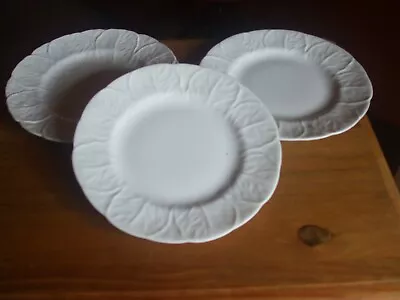 Buy Wedgwood ~ Coalport  Countryware 8  Inch Dinner Plates New 3 Plates • 120£