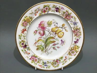 Buy Vintage Staffordshire Bone China Cabinet Plate Hand Decorated • 39.95£