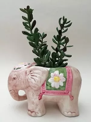 Buy Quirky Elephant Shape Ceramic Indoor Planter Plant Pot 11cm High • 13.99£