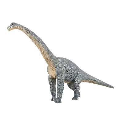 Buy Mojo BRACHIOSAURUS DINOSAUR Model Figure Toy Jurassic Prehistoric Figurine Gift • 10.50£