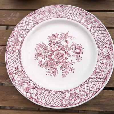 Buy Vintage Masons  Stratford  Pink Dinner Plate Immaculate 22 Cm  • 12.58£