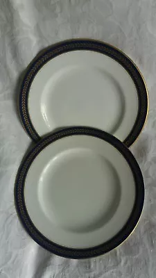 Buy 2 Coalport Blue Wheat Salad  Plates Good Condition Signs Of Use • 14£