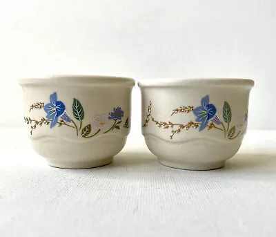 Buy Poole Pottery “Springtime” Set Of 2 Egg Cups In Excellent Condition • 9.95£