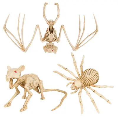 Buy Halloween Animal Skeleton Prop Party Decoration Rat Spider Bat Tarantula Zombie • 3.99£