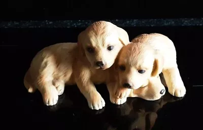Buy Very Cute Porcelain Royal Osborne Trio Of Labrador Puppies TMR 06762  • 5£