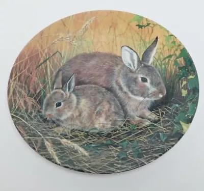 Buy Royal Doulton Fine China Collectable Plate 'Cornfield Rabbits' By Sue Warmer • 10.99£